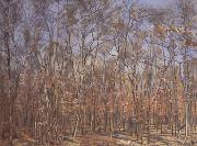 Ferdinand Hodler The Beech Forest (nn02) France oil painting artist